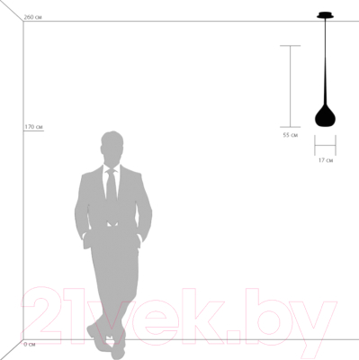 Потолочный светильник Lightstar Forma 808110