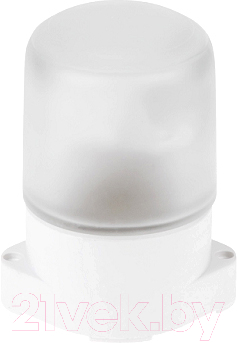 Светильник ЖКХ Юпитер JP1300-08 - фото