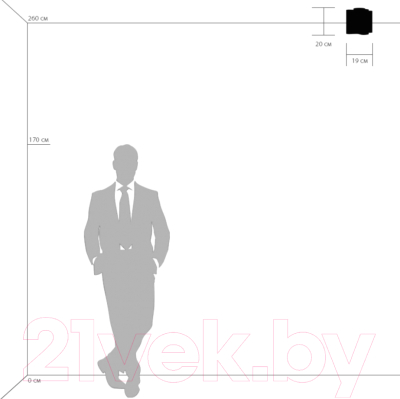 Потолочный светильник Lightstar Nubi 802010