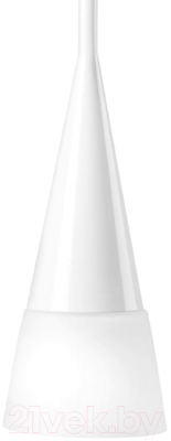 Потолочный светильник Lightstar Conicita 804110