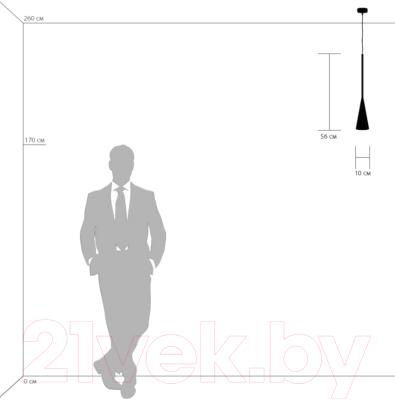 Потолочный светильник Lightstar Conicita 804110