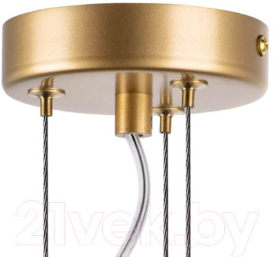 Люстра Lightstar Pittore 811152