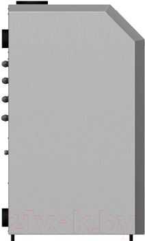 Газовый котел Лемакс Clever 30