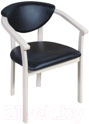 Стул ТехКомПро СМ 01 (тон 1/ткань Oregon Royal 60) - фото