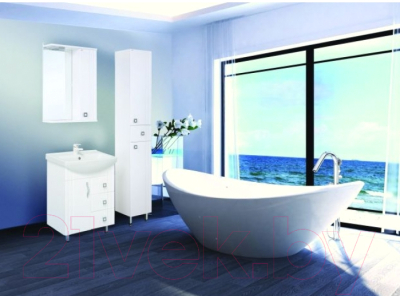 Шкаф с зеркалом для ванной Onika Лига 60.01 R