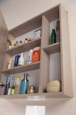 Шкаф с зеркалом для ванной Onika Дельта 60.00 У (206060)