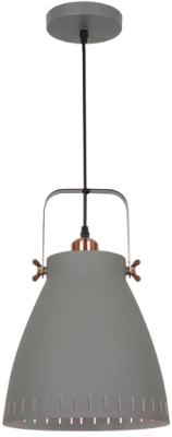 Потолочный светильник Camelion PL-428L С73 / 13073 - фото