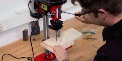 Сверлильный станок Einhell TC-BD 350 (4250670)