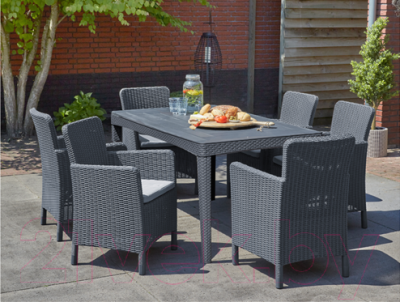 Кресло садовое Keter Trenton DC / 226453 (графит)