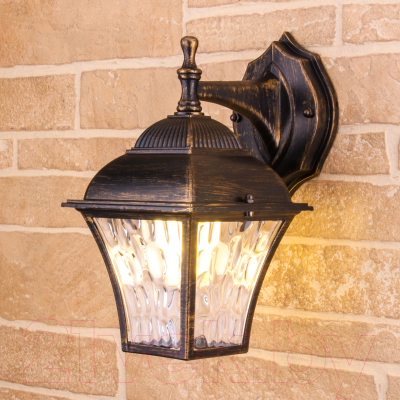 Бра уличное Elektrostandard Apus D GL 1009D - фото