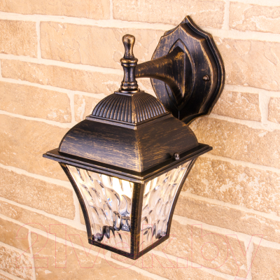 Бра уличное Elektrostandard Apus D GL 1009D