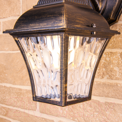 Бра уличное Elektrostandard Apus D GL 1009D