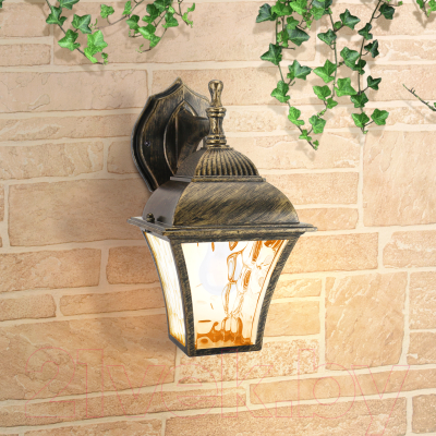 Бра уличное Elektrostandard Apus D GL 1009D