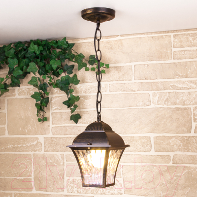 Светильник уличный Elektrostandard Apus H GL 1009H - фото