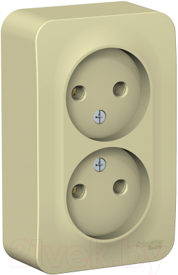 Розетка Systeme (Schneider) Electric Blanca BLNRA000217 - фото