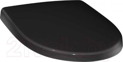Сиденье для унитаза Roca Victoria Nord ZRU9302627 - фото