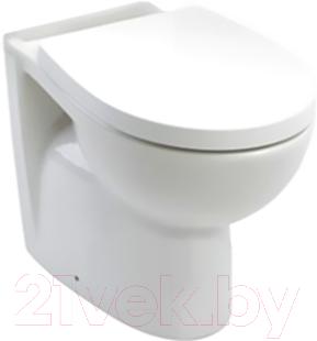 Унитаз напольный Roca Victoria Nord 7342ND7000 - фото