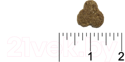 Сухой корм для кошек Tasty Cat С говядиной (10кг)