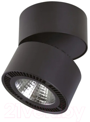 Точечный светильник Lightstar Forte Muro 214837 - фото