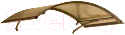 Козырек Silver Wing Арочный 120x160 / 10006 - фото