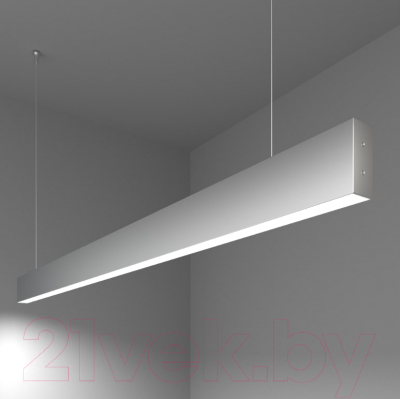 Потолочный светильник Elektrostandard 101-200-30-128 25W 6500K - фото