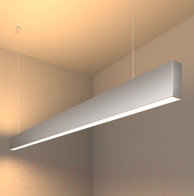 Потолочный светильник Elektrostandard 101-200-40-128 50W 3000K - фото