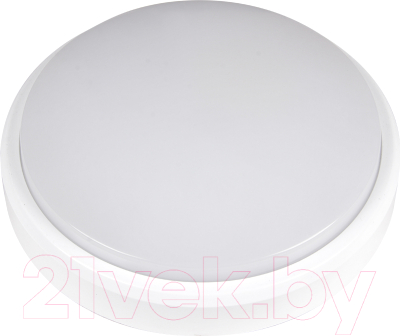 Светильник ЖКХ JAZZway 5011137 - фото