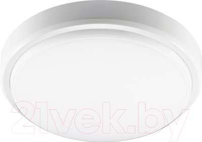 Светильник ЖКХ JAZZway 5011137