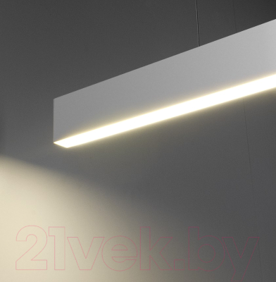 Потолочный светильник Elektrostandard 101-200-30-103 20W 4200K