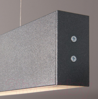 Потолочный светильник Elektrostandard 101-200-40-103 40W 4200K