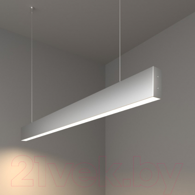 Потолочный светильник Elektrostandard 101-200-30-128 25W 4200K - фото