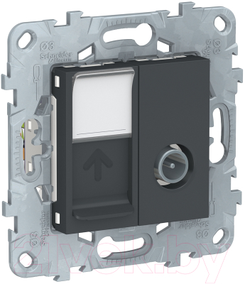 Розетка Schneider Electric Unica NU547054 - фото