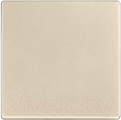 Клавиша для выключателя Werkel WL11-SW-1G-C-CP / a040918 - фото