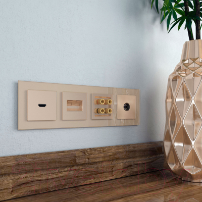 Лицевая панель для розетки Werkel WL11-RJ45+RJ45-CP / a040911