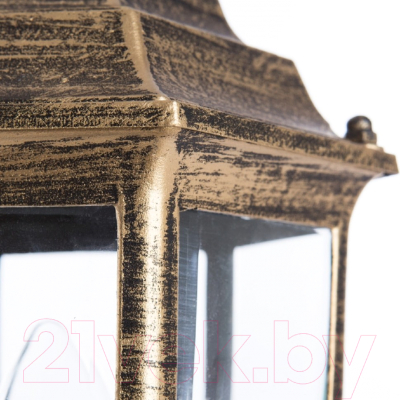 Светильник уличный Arte Lamp Pegasus A3151FN-1BN