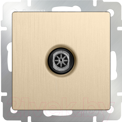 Розетка Werkel WL10-TV / a035633 - фото