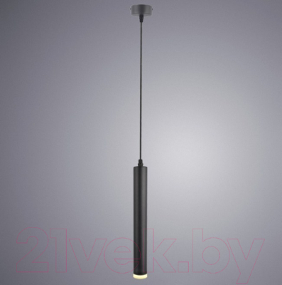 Потолочный светильник Arte Lamp Hubble Pendant A6810SP-1BK