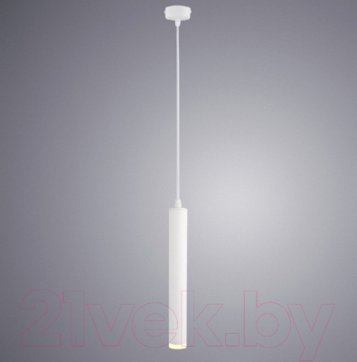 Потолочный светильник Arte Lamp Hubble Pendant A6810SP-1WH