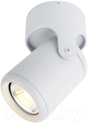 Спот Arte Lamp Libra A3316PL-1WH - фото