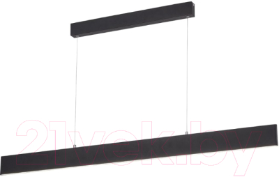 Потолочный светильник Arte Lamp Largo A2505SP-2BK - фото