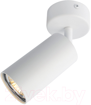 Спот Arte Lamp Aquarius A3216PL-1WH - фото