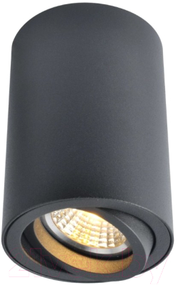 Точечный светильник Arte Lamp Sentry A1560PL-1BK - фото