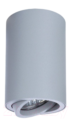 Точечный светильник Arte Lamp Sentry A1560PL-1GY - фото