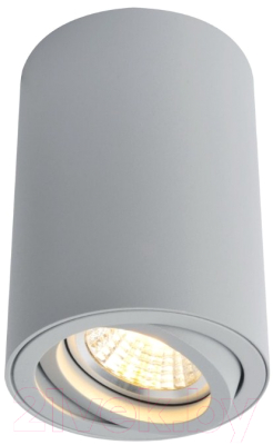 Точечный светильник Arte Lamp Sentry A1560PL-1GY
