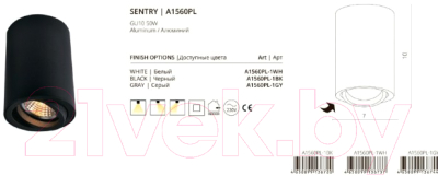 Точечный светильник Arte Lamp Sentry A1560PL-1GY