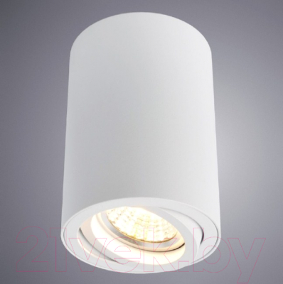 Точечный светильник Arte Lamp Sentry A1560PL-1WH