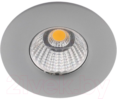 Точечный светильник Arte Lamp Uovo A1425PL-1GY - фото