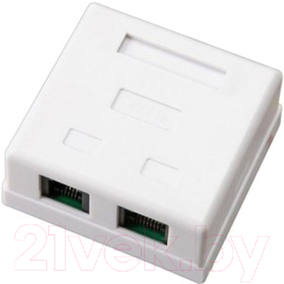 Розетка Rexant RJ-11+RJ-45 / 03-0120 - фото