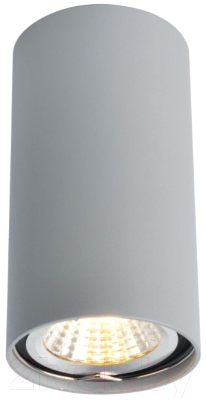 Точечный светильник Arte Lamp Unix A1516PL-1GY - фото