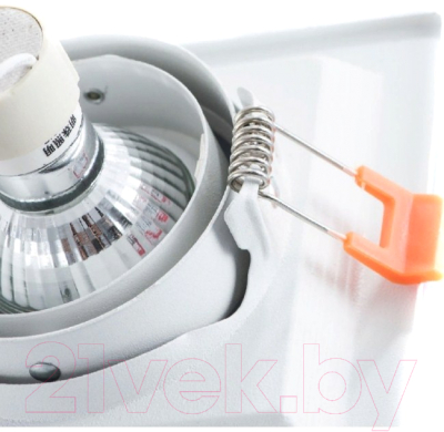 Точечный светильник Arte Lamp Canis A6661PL-1WH